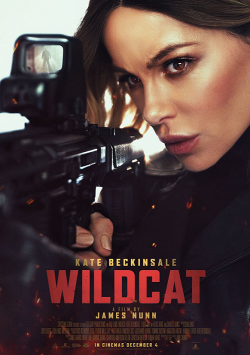 Wildcat